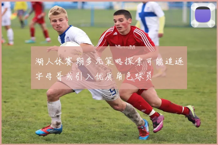 湖人休赛期多元策略探索可能追逐字母哥或引入优质角色球员