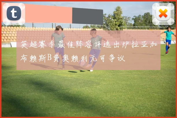 英超赛季最佳阵容评选出炉拉亚加布赖斯B费奥赖利无可争议